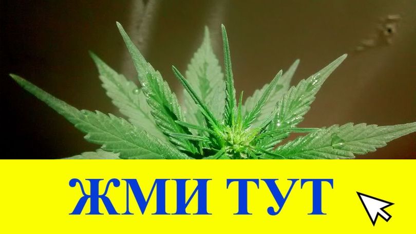 Купить наркотики в Константиновске